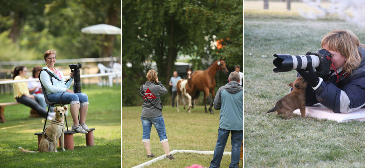 Introbild Collage von Petra Nettky von Tierfotografie Huber Unterstützerin von Hörer helfen Kindern