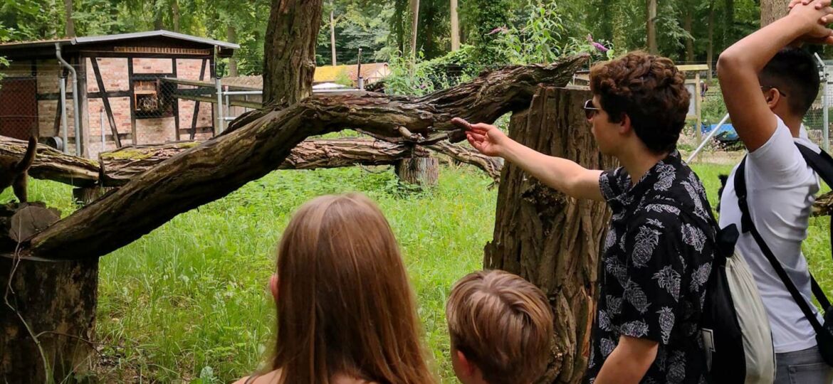 Introbild Gemeinschaftsfonds für die Wohngruppe Bergedorf finanziert durch Hörer helfen Kindern