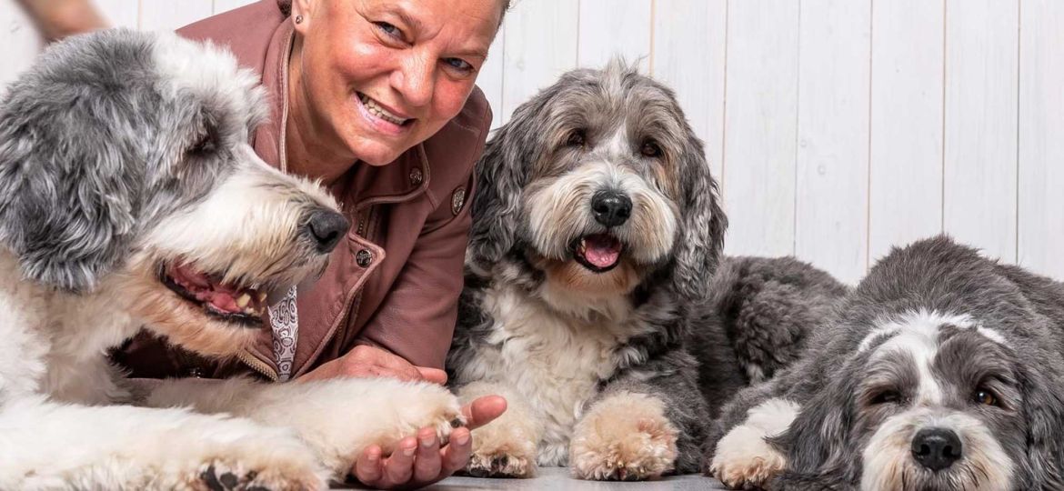 Introbild Hundetraining Tine Schröder sammelt Spenden für Hörer helfen Kindern